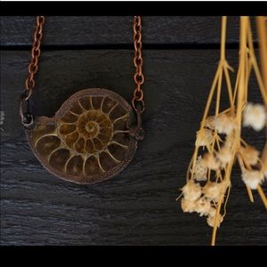 ammonite necklace